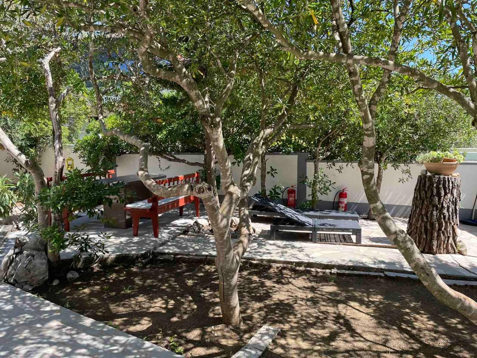 Villa Pagar - With Jacuzzi - Renovated In 2022 포블랴나 외부 사진